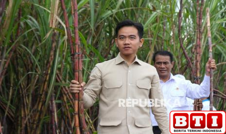 sama-berharga-dengan-nikel-gibran-dorong-hilirisasi-kemenyan-sebut-merk-gucci