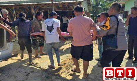 gajah-sumatera-tewaskan-seorang-wanita-di-bengkalis-riau