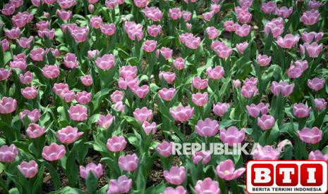 ini-metode-termudah-masuk-surga