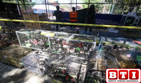 kemenhut-dan-polri-bongkar-penyimpanan-ilegal-169-satwa-dilindungi-di-sorong