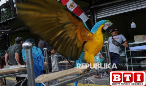 puluhan-pedagang-masih-bertahan-di-pasar-barito-wali-kota-ada-yang-menunggangi