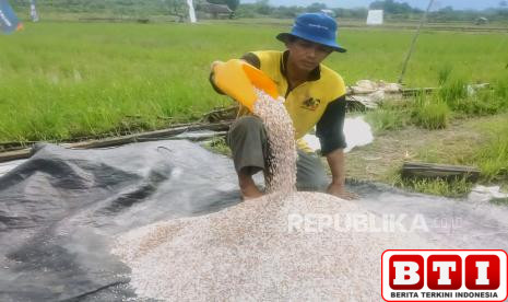 resign-dari-industri-migas-hijrah-menjadi-petani-hadi-nikmati-omzet-ratusan-juta